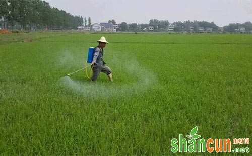 水稻田除草剂氰氟草酯的相关登记信息值得关注