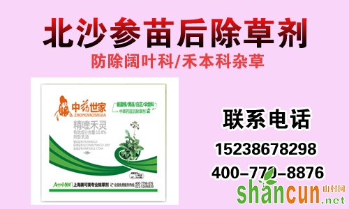 北沙参除草剂，防除杂草安全高效、省工又省力！