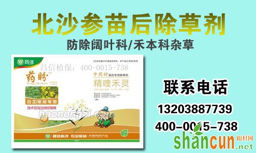 北沙参除草剂，防除杂草安全高效、省工又省力！