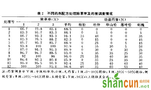 刺槐除草剂在林地更新改造中的应用