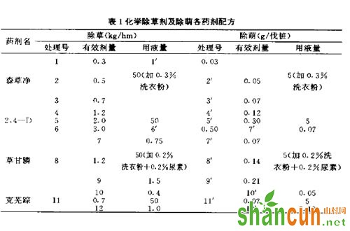 刺槐除草剂在林地更新改造中的应用