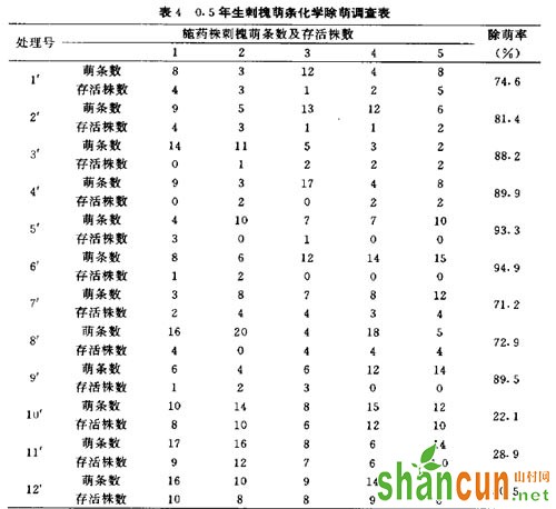 刺槐除草剂在林地更新改造中的应用