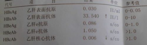 临床乙肝五项检查结果单截图