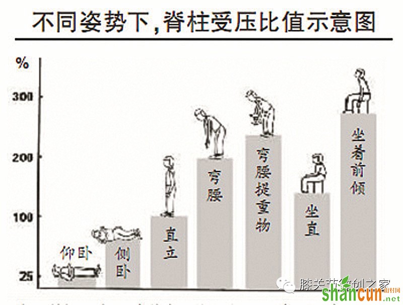 健康关节网--脊椎-日常生活保护脊椎24小时攻略的图片