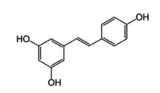 抗氧成分解读，姿美生助你抵御肌肤威胁