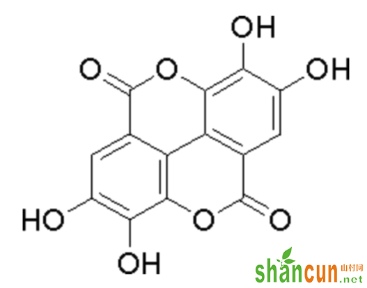 抗氧成分解读，姿美生助你抵御肌肤威胁