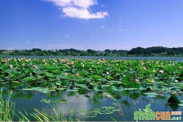 缓解痛经的方法 哪些习惯可以缓解痛经 缓解痛经的食疗