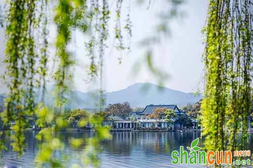 女性夏季补血 女性补血食物 女性补血食疗