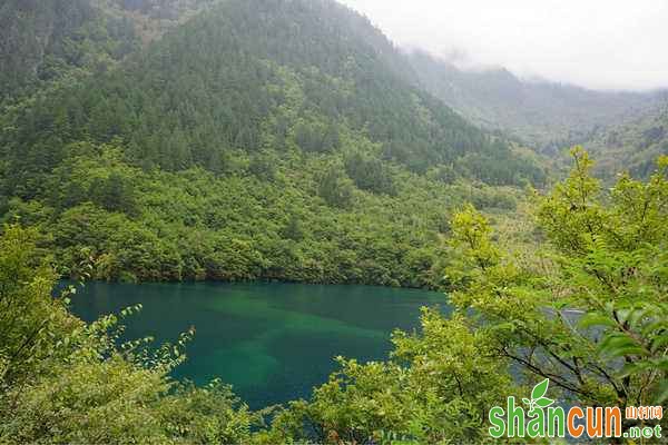 女性内分泌失调怎么办 内分泌失调的解决方法 如何高山内分泌失调