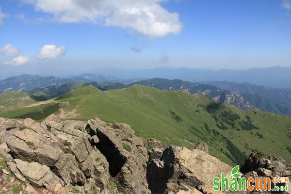 痛风是一种因嘌呤代谢异常，导致尿酸合成增加，以钠盐形式沉积在关节、软骨和肾脏中引起的炎性反应