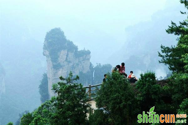 吸烟可升高血浆胆固醇和三酰甘油水平