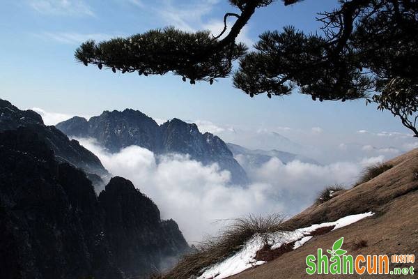 蓝莓、黑樱桃、紫葡萄、加州李等，都含有花青素