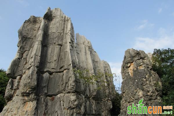 女生高考时遇上痛经怎么办 痛经吃什么食物好 痛经如何缓解