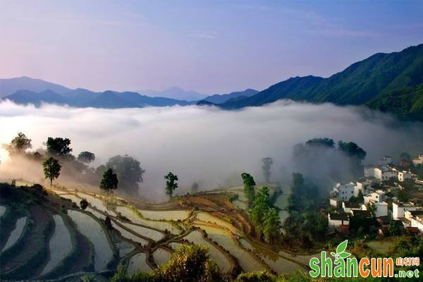 女性一生有多少颗卵子 如何计算排卵期 女生有多少颗卵子