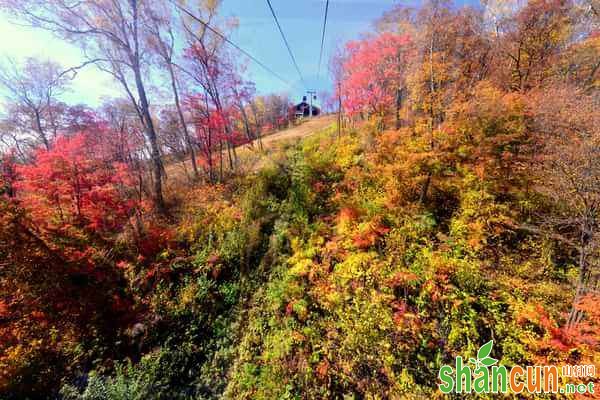 大家在平时的生活中可以观察一下自己的指甲