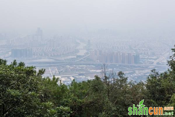 夏季雨水多，所以我们的房间就很容易变得非常潮湿