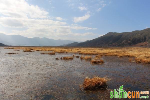 睡前半小时洗热水澡、泡脚、喝杯牛奶