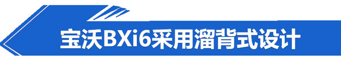 补贴新政扭转消费趋势 下半年20款纯电车齐发-图9