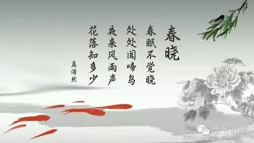 中国元素，惊艳世界（二）