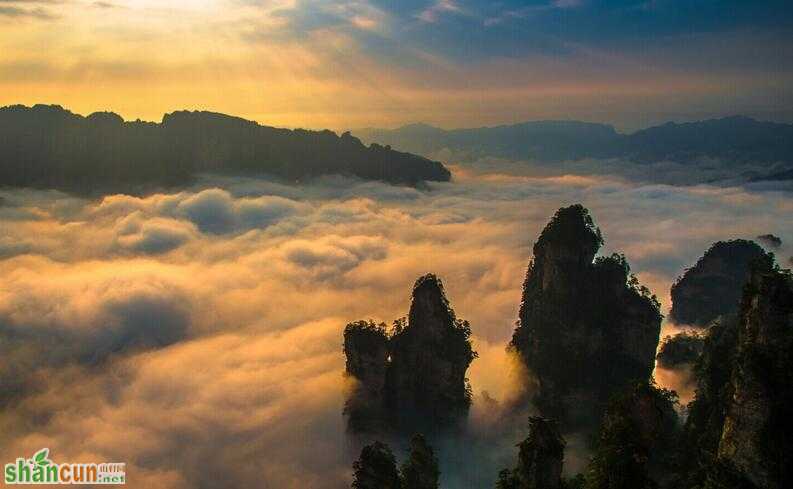 天子山景区的景点介绍，去天子山景区坐什么车   