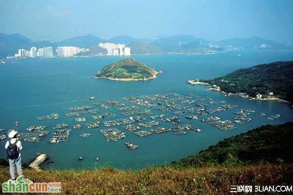 恋上别样香港 一个鉴证爱情的缤纷都市 