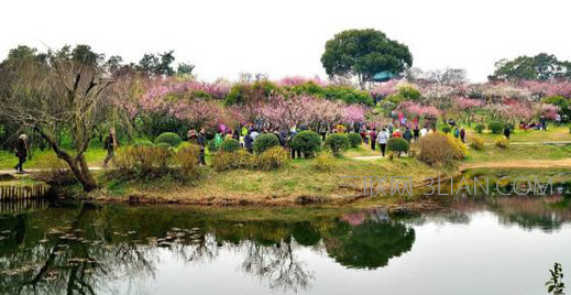 4月去哪旅游好    