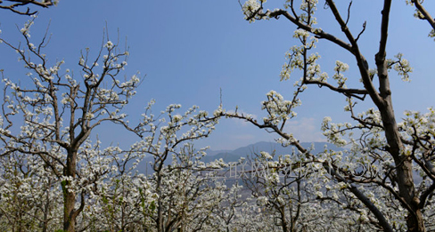 3月哪些地方最适合旅行     