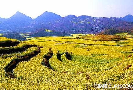 中国三大最美赏花地  