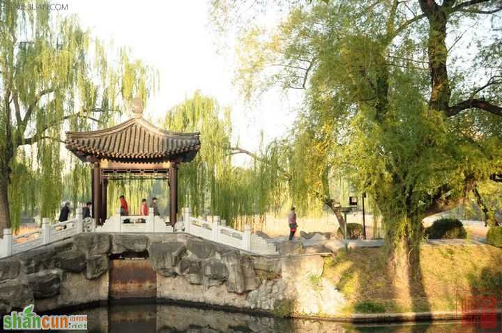 2015北京十一带老人去哪里玩 