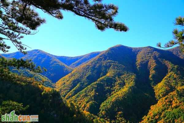 雾灵山