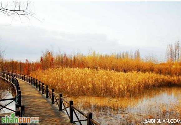 世界湿地日上海去哪儿玩 