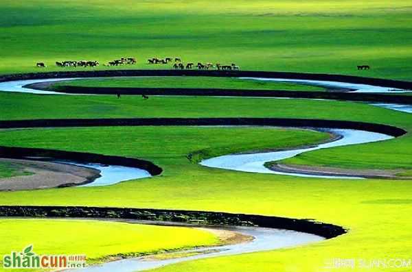 中国最美六大草原 