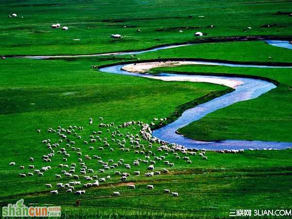 中国最美六大草原