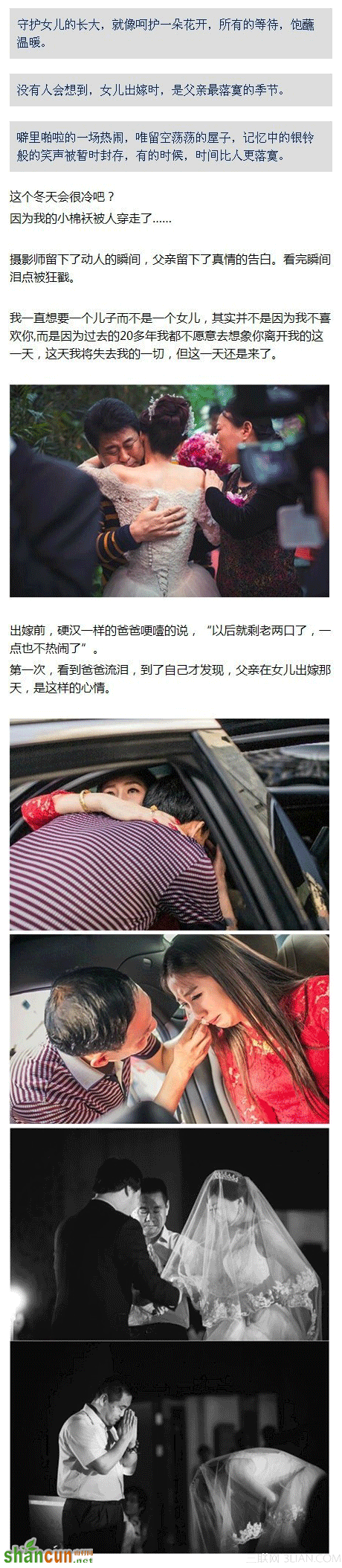 精心呵护的小棉袄，被女婿连盆端走了                 