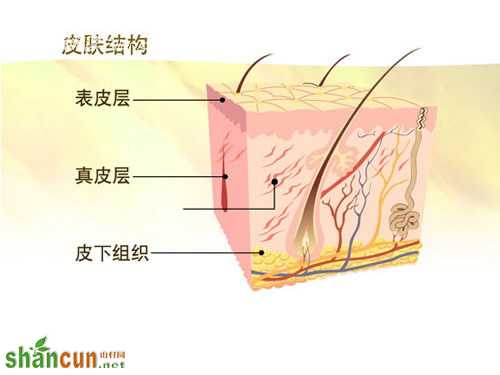 去角质循序渐进 阅读