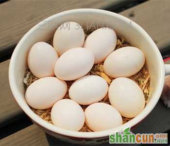 醋泡鸡蛋祛斑有效吗，醋泡鸡蛋的多种食疗功效 山村
