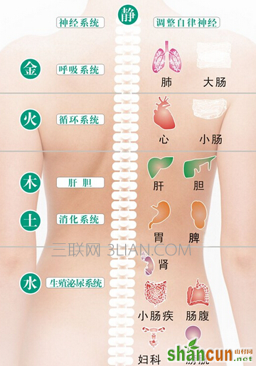  后背长粉刺是什么原因     山村