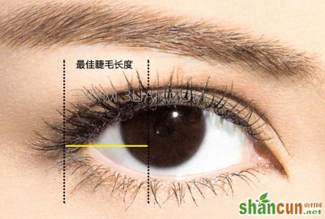刷睫毛膏的正确方法 山村