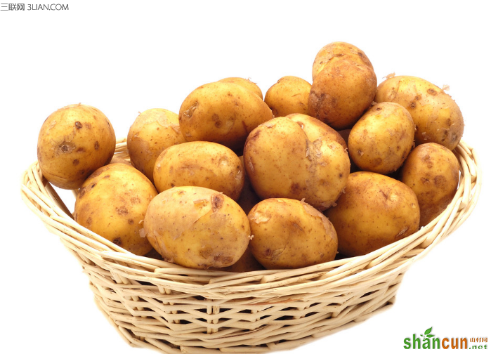 土豆怎么吃减肥 山村