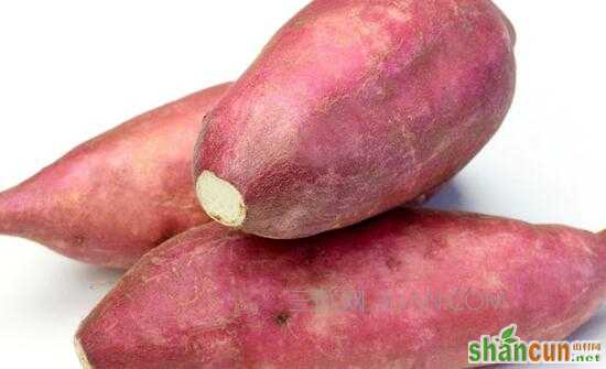 红薯怎样吃能减肥     山村