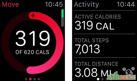 AppleWatch是怎么记录运动的 苹果手表运动追踪用法