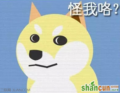 单身汪都有什么心理    山村