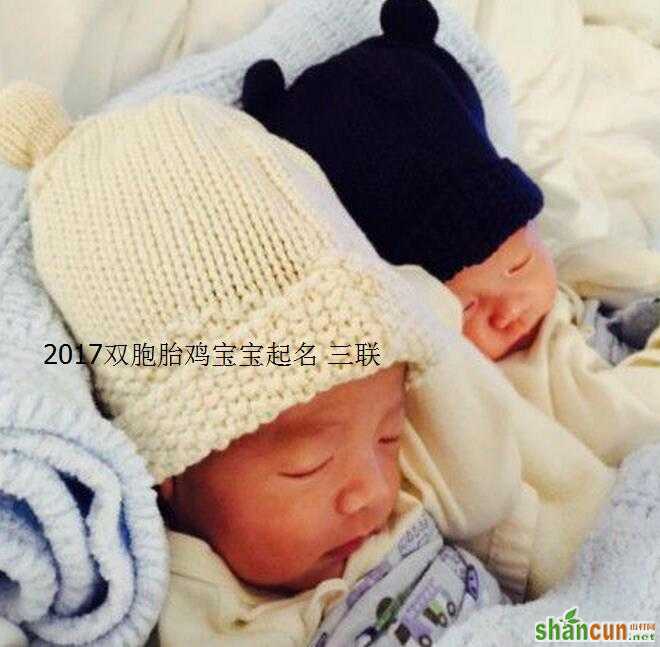 2017双胞胎鸡宝宝起名 山村