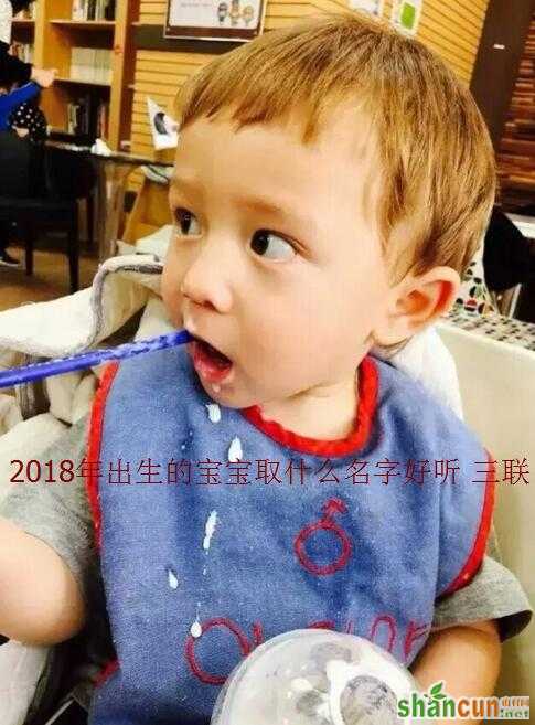 2018年出生的宝宝取什么名字好听 山村