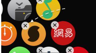 Apple Watch如何删除应用2