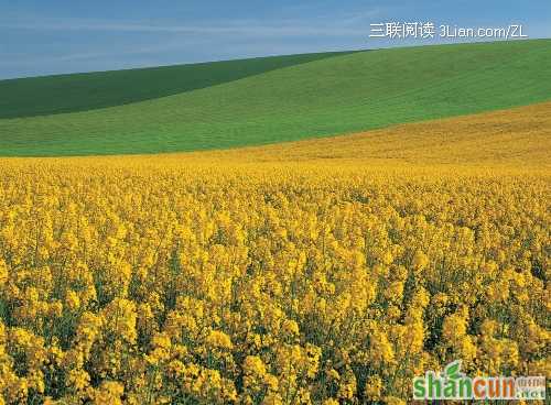 秋分是收获健康的好季节    山村阅读