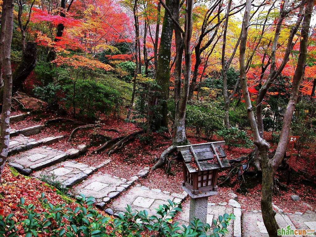 处暑时节当心"秋燥" 山村