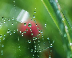 白露时节话保健 山村