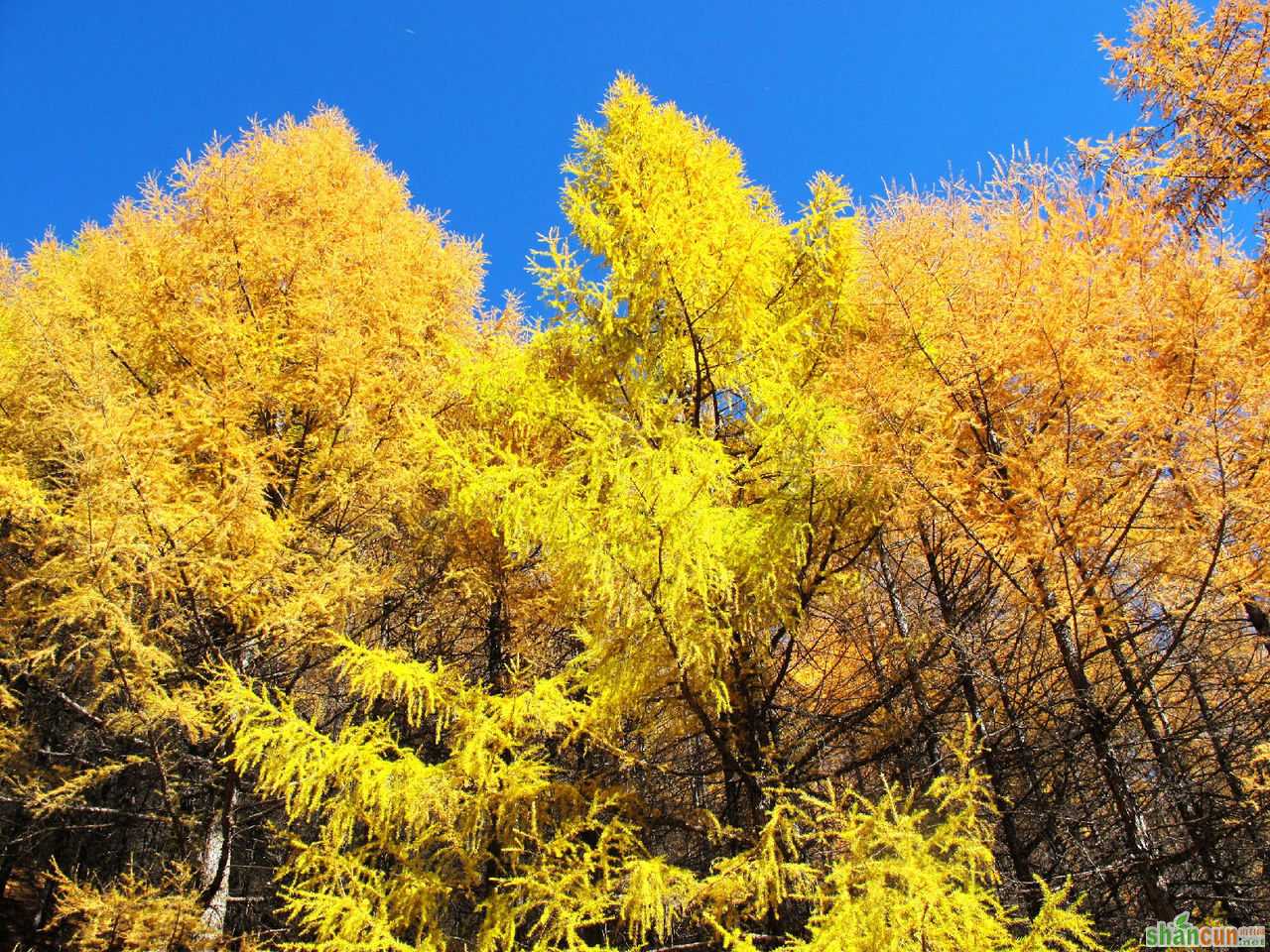 秋季出游须防病 山村