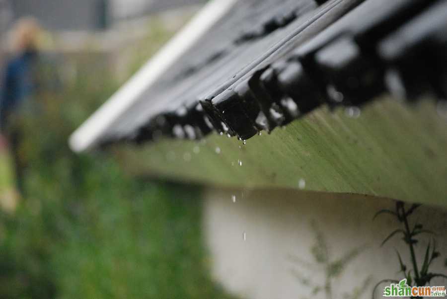 雨水节气养生常识 山村